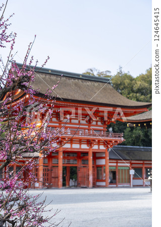 Kyoto Shimogamo Shrine: Korin's plum blossoms and tower gate 124645415