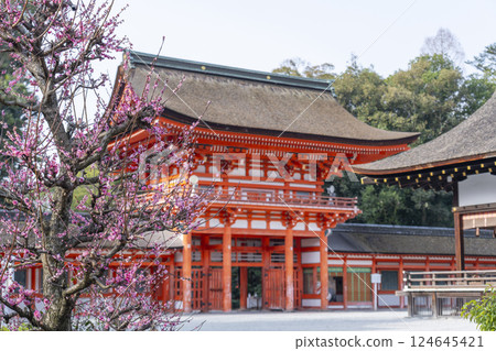 京都下鴨神社：光琳的梅花與樓門 124645421