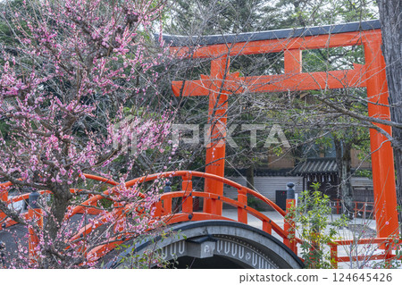 京都下鴨神社:光琳梅花與朱漆圓橋 京都下鴨神社:光琳梅花與朱漆圓橋 124645426