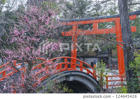 京都下鴨神社：光琳梅花與朱漆圓橋 124645428