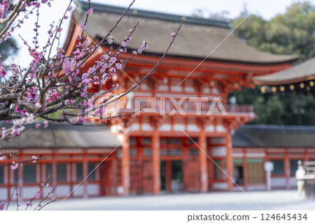 Kyoto Shimogamo Shrine: Korin's plum blossoms and tower gate 124645434