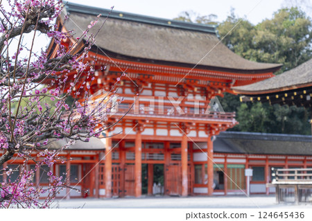 京都下鴨神社：光琳的梅花與樓門 124645436