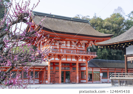 京都下鴨神社:光琳的梅花與樓門 京都下鴨神社:光琳的梅花與樓門 124645438