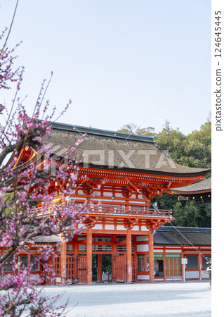 Kyoto Shimogamo Shrine: Korin's plum blossoms and tower gate Kyoto Shimogamo Shrine: Korin's plum blossoms and tower gate 124645445