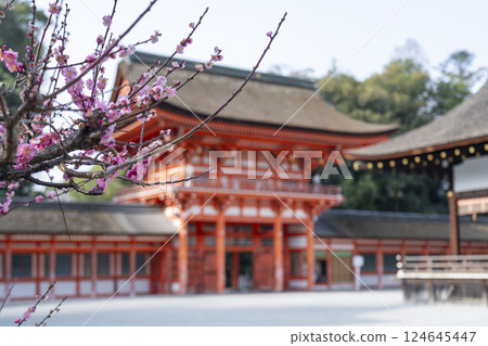 京都下鴨神社：光琳的梅花與樓門 124645447