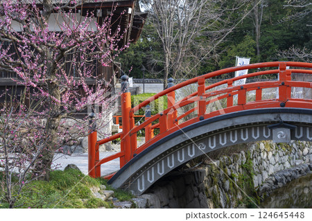 京都下鴨神社：光琳梅花與朱漆圓橋 124645448