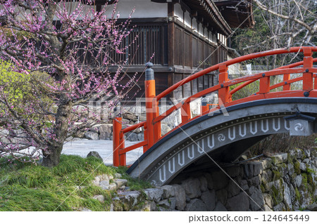 Kyoto Shimogamo Shrine: Korin's plum blossoms and the vermilion-lacquered circular bridge 124645449