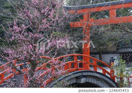 Kyoto Shimogamo Shrine: Korin's plum blossoms and the vermilion-lacquered circular bridge Kyoto Shimogamo Shrine: Korin's plum blossoms and the vermilion-lacquered circular bridge 124645453