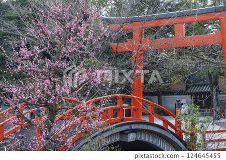 Kyoto Shimogamo Shrine: Korin's plum blossoms and the vermilion-lacquered circular bridge 124645455