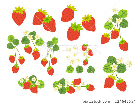 Strawberry illustration material set Strawberry illustration material set 124645554