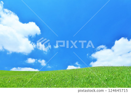 Refreshing summer blue sky and fresh green meadow landscape Refreshing summer blue sky and fresh green meadow landscape 124645715
