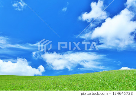 清爽的夏日藍天和清新的綠色草甸景觀 清爽的夏日藍天和清新的綠色草甸景觀 124645728