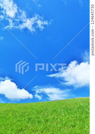 清爽的夏日藍天和清新的綠色草甸景觀 清爽的夏日藍天和清新的綠色草甸景觀 124645730
