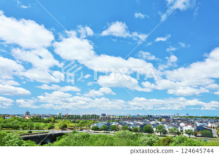 清新的藍天和城市的風景 124645744