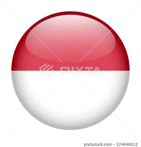 flag of Monaco, button round glossy icon flag of Monaco, button round glossy icon 124646012