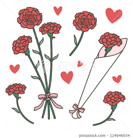 母親節紅色康乃馨花束套裝 124646034