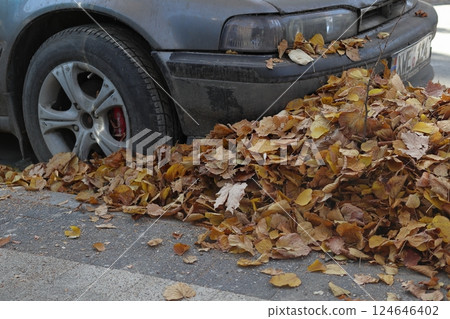 An abandoned car covered with a pile of leaves. 124646402