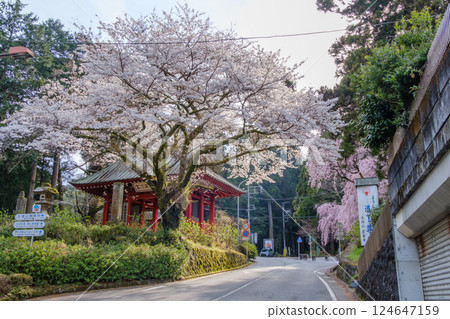 前往多里山的路上的壯麗景色 124647159