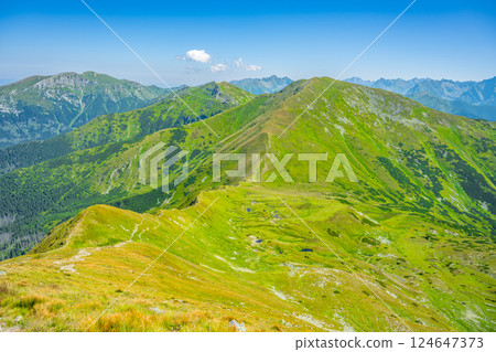 The vibrant green hills of the Western Tatras stretch under a clear blue sky. Scenic trails wind through lush vegetation, inviting hikers to explore the stunning landscape of Slovakia in summer. 124647373
