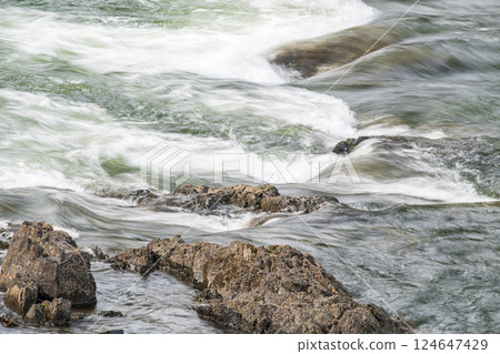 京都府宇治市宇治川急流 124647429
