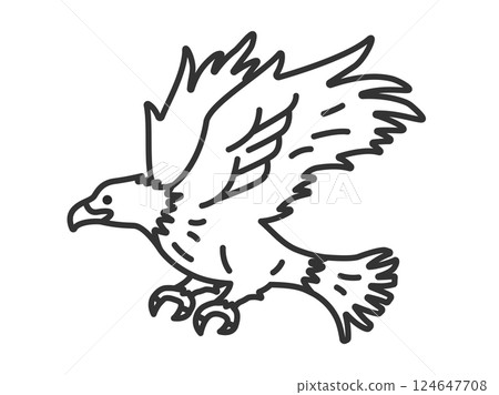 Eagle (line drawing) illustration 124647708