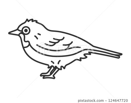 繡眼鳥的插圖(線描) 繡眼鳥的插圖(線描) 124647720