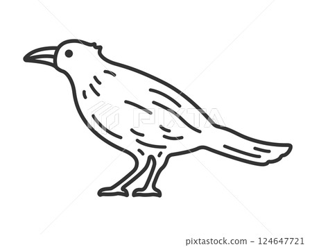 烏鴉的插圖（線條描） 124647721
