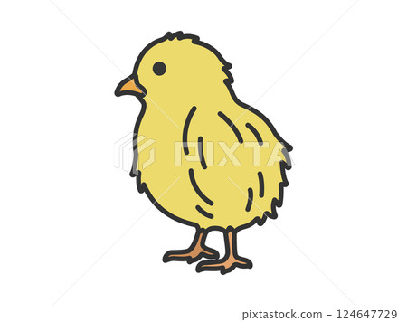 小雞的插圖(線條描彩色) 小雞的插圖(線條描彩色) 124647729