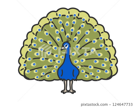 Illustration of a peacock (line drawing color) 124647733