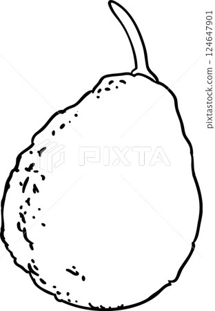 Avocado Fruit Outline Illustration 124647901