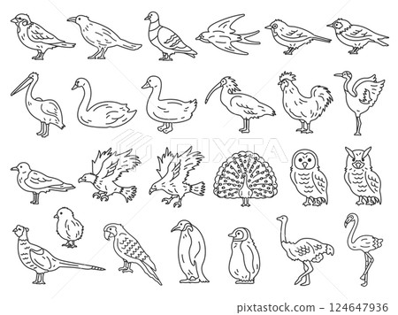 A set of various bird (line drawings) illustrations 124647936