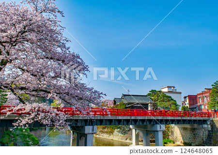 Hida Takayama, Nakabashi Bridge with red railings, cherry blossoms in full bloom, late April 124648065