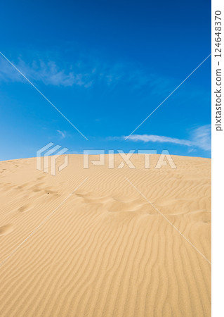 Tottori Sand Dunes: Looking up at the Horse's Back, Beautiful Wind Ripples and Footprints in the Sand 124648370