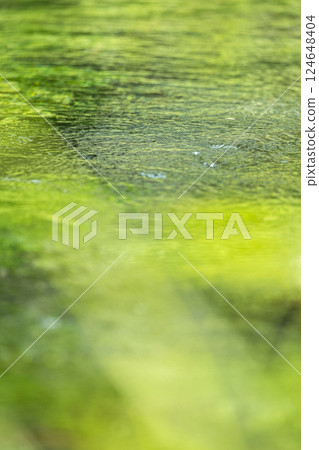 Fresh greenery reflected on the water surface, clear stream, eco-image (Mt. Daisen) Fresh greenery reflected on the water surface, clear stream, eco-image (Mt. Daisen) 124648404
