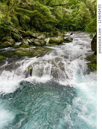 Fresh green and blue river 124648435