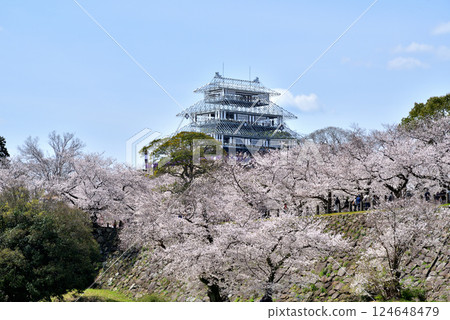 春季福岡城天守閣基座：為天守閣春季亮燈而設立的臨時設施 124648479