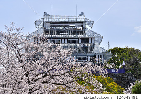 Spring Fukuoka Castle Tower Base: Temporary structure for the spring illumination of the tower Spring Fukuoka Castle Tower Base: Temporary structure for the spring illumination of the tower 124648481
