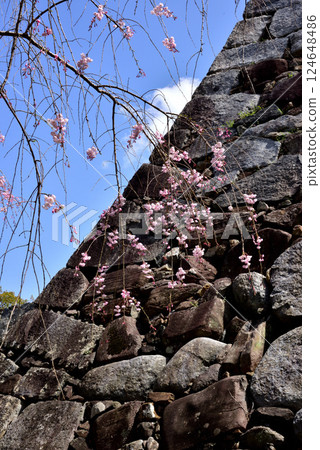 春季福岡城天守閣基座：為天守閣春季亮燈而設立的臨時設施 124648486