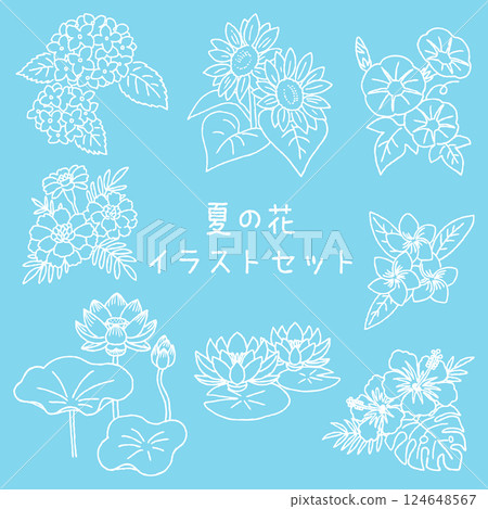 Summer flower illustration set, hand-drawn pen drawing 124648567