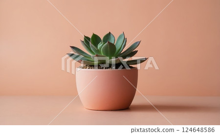 Succulent Plant in a Minimalist Pink Ceramic Pot on Peach Background 124648586
