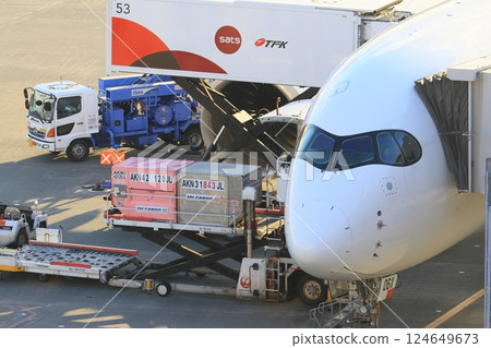 正在裝載的粉紅色貨櫃：日航的粉紅絲帶貨櫃 124649673