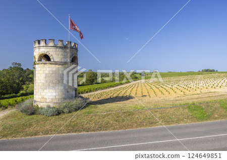 Vineyards with Chateau Cos d'Estournel, Bordeaux, Aquitaine, France 124649851