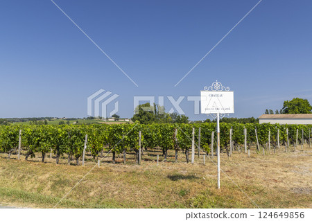 Typical vineyards with information board Grand Cru Classe near Saint-Emilion, Bordeaux, Aquitaine, France Typical vineyards with information board Grand Cru Classe near Saint-Emilion, Bordeaux, Aquitaine, France 124649856