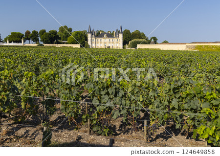 Typical vineyards near Chateau Pichon Longueville Baron, Bordeaux, Aquitaine, France Typical vineyards near Chateau Pichon Longueville Baron, Bordeaux, Aquitaine, France 124649858