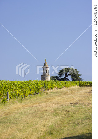 Typical vineyards near Chateau la Tour de By, Bordeaux, Aquitaine, France Typical vineyards near Chateau la Tour de By, Bordeaux, Aquitaine, France 124649869