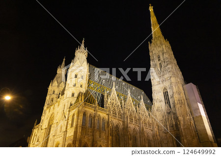 Saint Stephen cathedral in Vienna, at night Austria 124649992