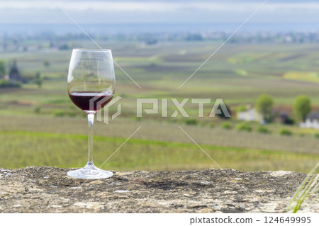 Glass of pinot noir red wine in early spring vineyards near Aloxe-Corton, Burgundy, France Glass of pinot noir red wine in early spring vineyards near Aloxe-Corton, Burgundy, France 124649995