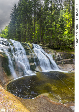 Waterfall Mumlava near Harachov, Giant Mountains (Krkonose), Eastern Bohemia, Czech Republic 124650184