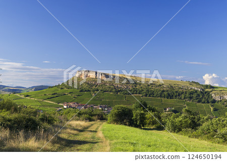 Rock of Vergisson with vineyards, Burgundy,France Rock of Vergisson with vineyards, Burgundy,France 124650194