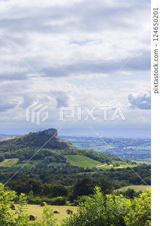 Rock of Solutre with vineyards, Burgundy, Solutre-Pouilly, France Rock of Solutre with vineyards, Burgundy, Solutre-Pouilly, France 124650201